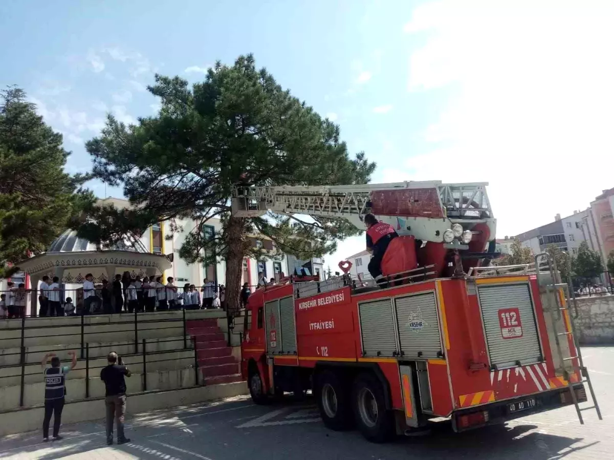 Kırşehir’de Öğrenci Ağaçta Mahsur Kaldı