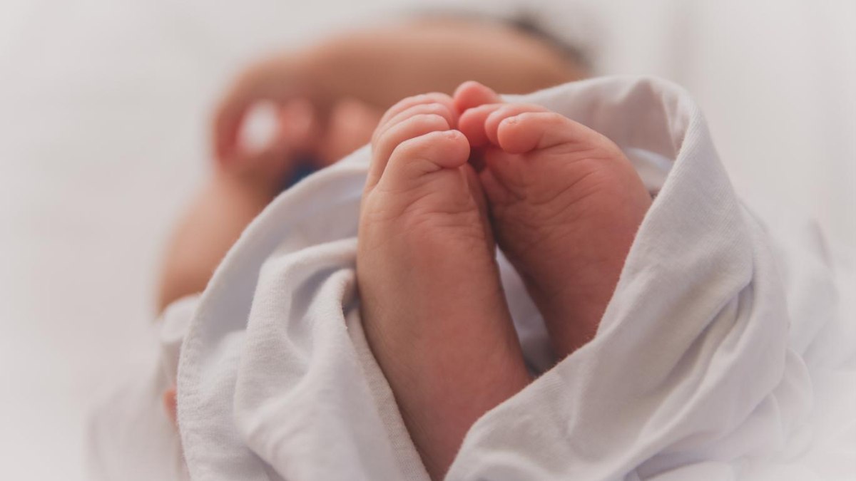 Türkiye’nin doğurganlık hızı Fransa’dan daha düşük