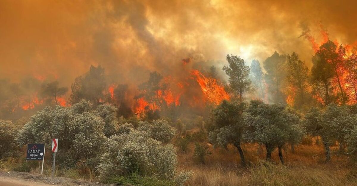 Muğla’da orman yangınlarının yüzde 59’u insan kaynaklı